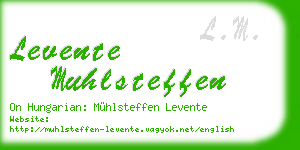 levente muhlsteffen business card