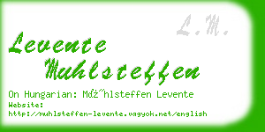 levente muhlsteffen business card